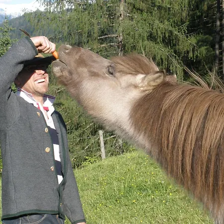 Holzlehenhof * סנט יוהן אים פונגאו