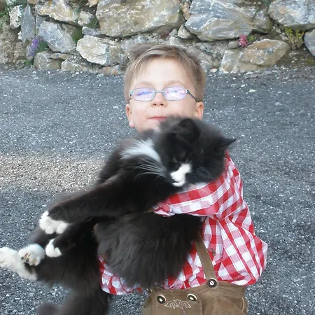 Holzlehenhof Apartamento Sankt Johann im Pongau